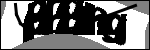 متن برای شناسایی